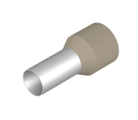 Ferrule