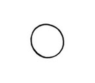 O Ring