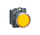 Push Button Switches