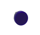 Pilot Light Heads