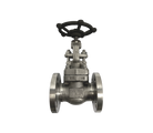 Globe Valves