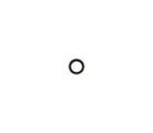 O Ring