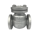 Swing Check Valves