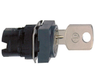 Key Switch Heads
