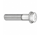 Flange Bolts