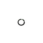 o-ring-img