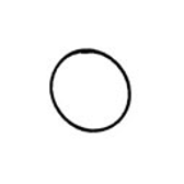 o-ring-img