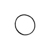 o-ring-img