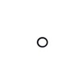 o-ring-img