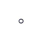 o-ring-img