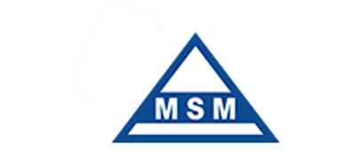 MSM logo
