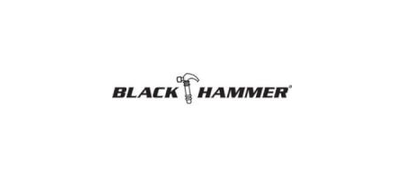 Black Hammer logo