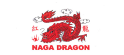 Dragon logo