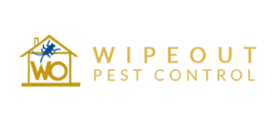 Wipeout logo