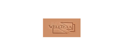 WELLTEAM logo