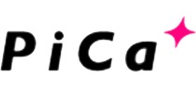 PICA LADDER logo