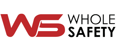 WHOLESAFETY logo