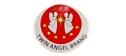 Twin Angel logo