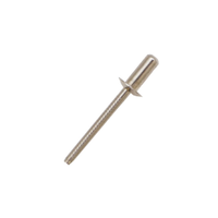 Rs Pro 2065452 Stainless Steel Blind Rivet, 4.8mm (1 Bag of 100)