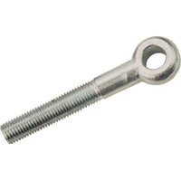 Indexa IND4252510P FC09 Swing Bolt M16 X 125MM X 16MM