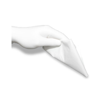 Rs Pro 8295120 100 Cleanroom Wipes (1 Bag of 100)