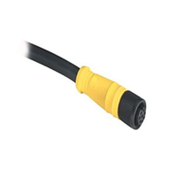 ALLEN-BRADLEY 889D-F8AB-20 Dc Micro (M12) Female Straight 8-PIN Pvc Cable Black 20M