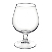 Bormioli Rocco Globo Cognac Glass 250ml 250 Ml