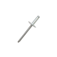 Rs Pro 2065404 Aluminium Blind Rivet, 4.8mm (1 Bag of 100)