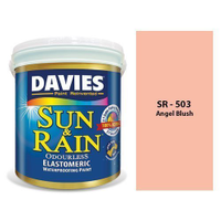 Davies Sun & Rain Angel Blush - 16L