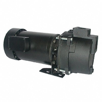 Dayton 5RWH3 Pump 3 Hp 3Ph 208 to 240/480VAC
