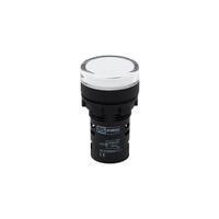 Rs Pro 7637924, Panel Mount White Led Pilot Light, 22mm Cutout, IP65, Round, 110V Ac