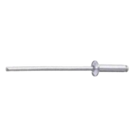 Temotuf TFFS6000312B 3.2 X 12mm Dome Head Stainless Steel Rivet - Pk-1000