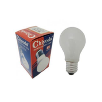 Gls Bulb Frosted E27 100W