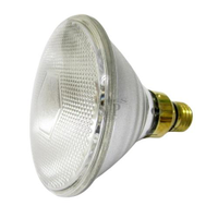 Phoenix 2160357 PAR38 80W Clear