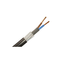 Rs Pro 1964658 2 Core Power Cable, 1.5 Mm², 100m Armoured, Black Pvc Sheath, 600/1000 V (1 Reel of 100 Metres)