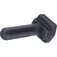 Indexa IND4252920K FC4020125 T-SLOT Bolt M20 X 125MM