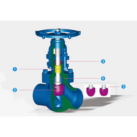 Neway ; 3/4 Inch; Gate Valves; Bb Os&y - Full Port ; 800# Class ; A105N Body ; A182 F6a Disc ; A276-410/STL Seats ; SW Ends Connection ; Handwheel Operation