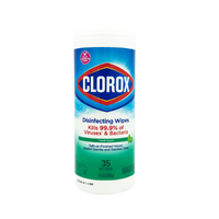 Clorox Disinfection Wipes 35's