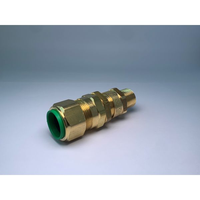 Cmp 20 E1FX M20 Brass Cable Gland