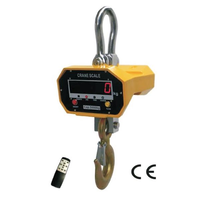 Digital Crane Scale