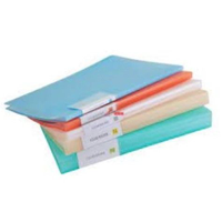 East File Clear Holder 20 Pocket