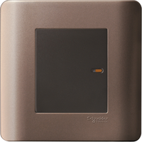 Schneider Electric E8431_1_SZ_G11 20 a 1 Gang 1 Way Switch With on Indicator