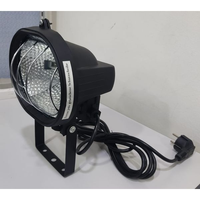 Halogen Lamp With Tube 500W