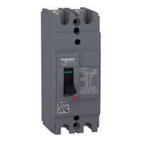 Schneider Electric EZC100H2040 Circuit Breaker,easypact EZC100H ,tmd, 40A ,2 Poles 2d