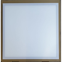 Led Panel Light 595x595mm