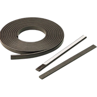 Magnetic Strip