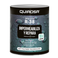 Quiadsa Brik-Cen Ms-R38 (1 Liter) (Waterproofing & Leaks Repairs)