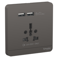 Schneider Electric E8342616USB_DG 2 Usb Charger + socket-outlet, Avataron, Complete Product, 16A, Glossy, Dark Grey
