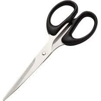 Scissors 200mm (8")