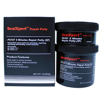 Sealxpert PS107 5 Minutes Epoxy Putty